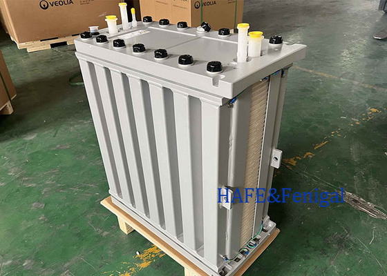 নামমাত্র 3.4 m3/h প্রবাহ হার ব্যাপ্তি 1.7 ️ 4.5 m3/h Veolia EDI মডিউল E-Cell MK-3