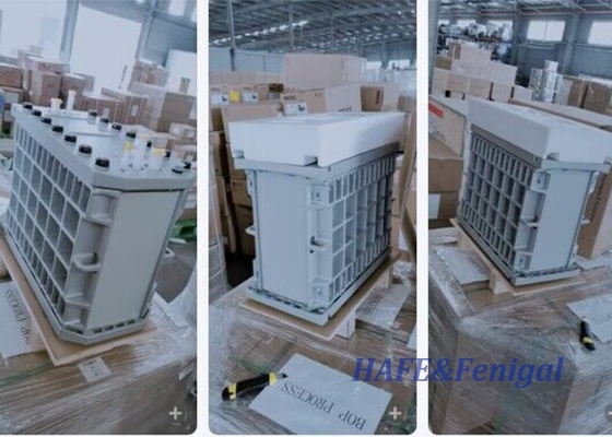 পুনরুদ্ধার 97% নামমাত্র প্রবাহ 5.0 M3/h Veolia EDI মডিউল E-Cell-3X