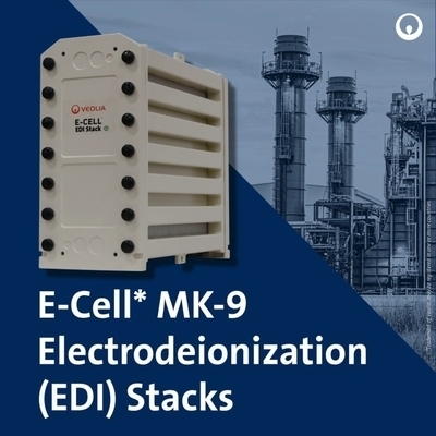 Veolia MK-9 EDI স্ট্যাক ৩৫ জিPM অতি বিশুদ্ধ জল সৌর PV-এর জন্য